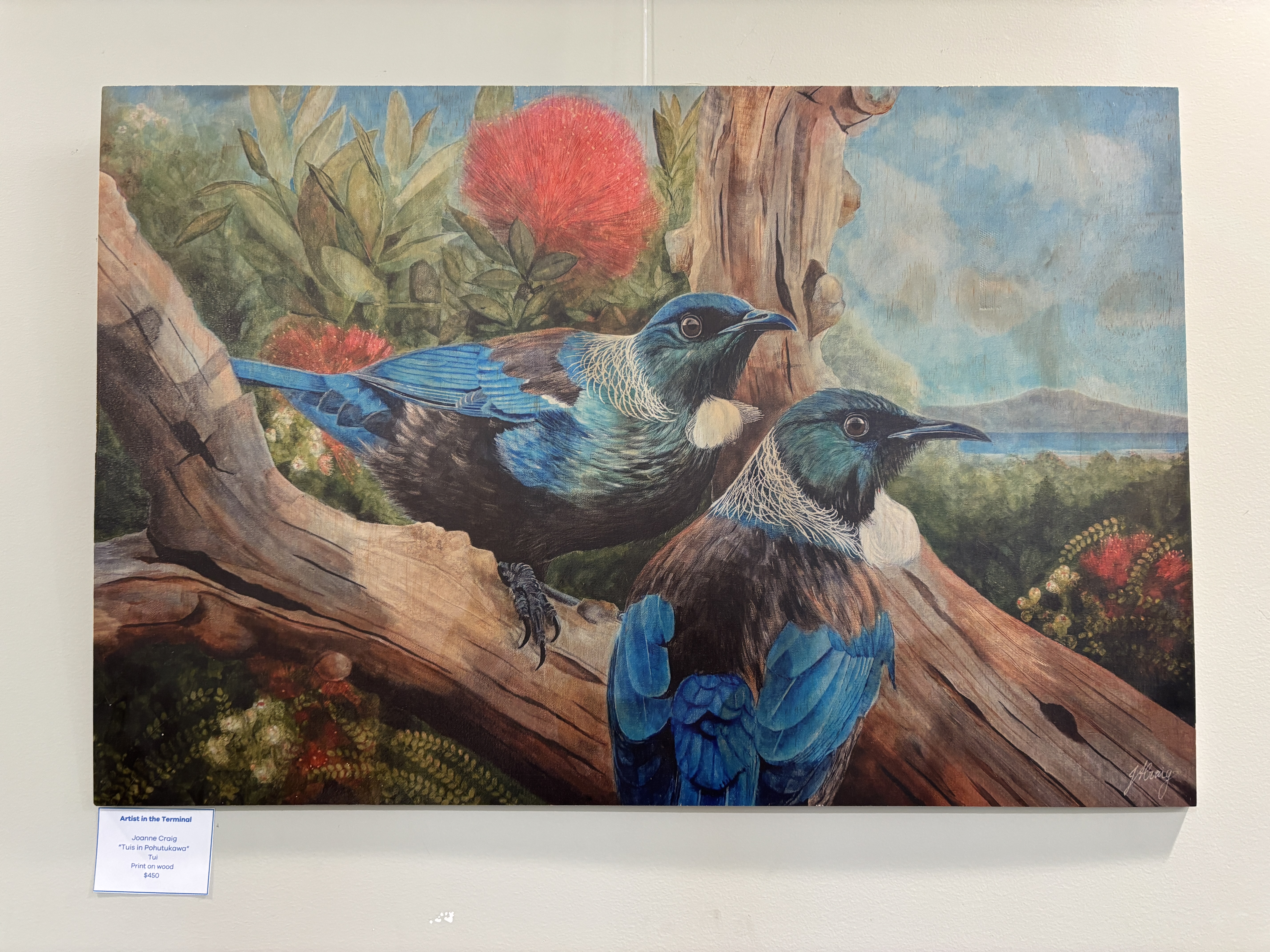 Otago Artist Joanne Craig Brings Native Birdlife to Dunedin Airport